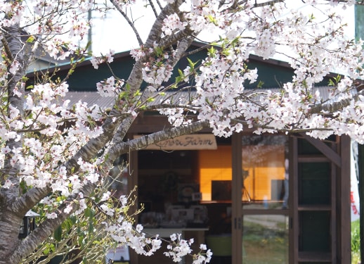 みのりファーム房総むつざわ店外観